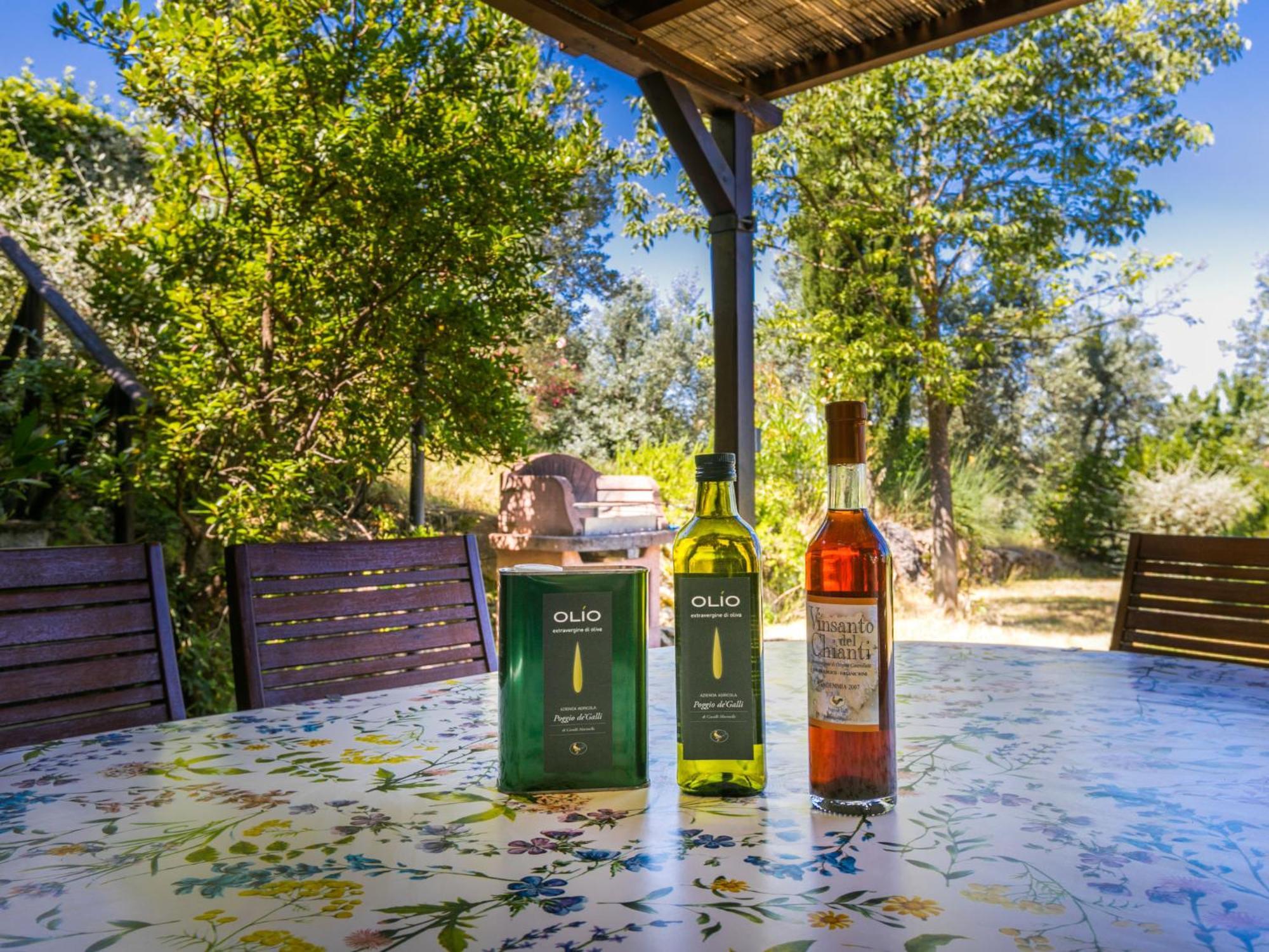 Holiday Home Poggio De'Galli By Interhome Pozzolatico Kültér fotó